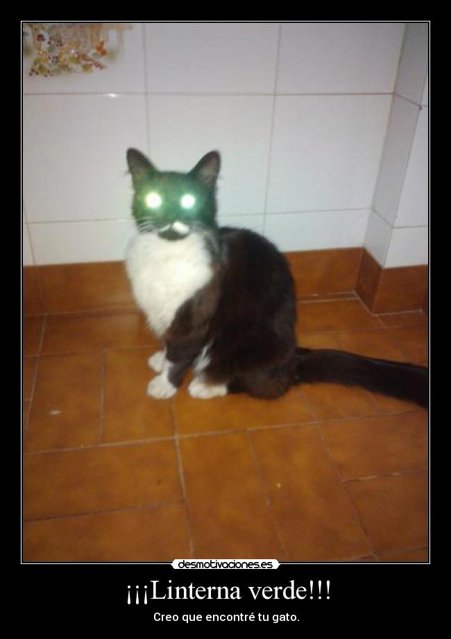 ¡¡¡Linterna verde!!! - 