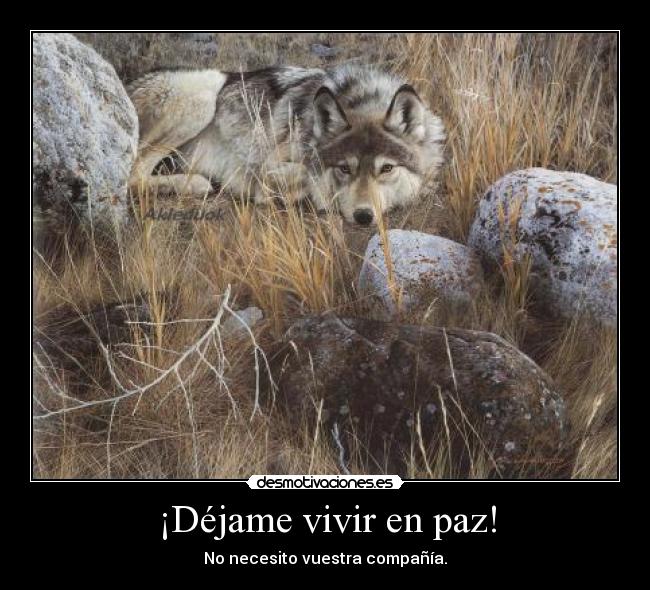¡Déjame vivir en paz! -