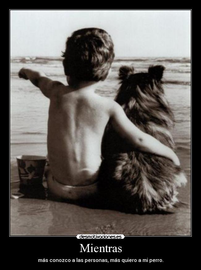 Mientras - más conozco a las personas, más quiero a mi perro.