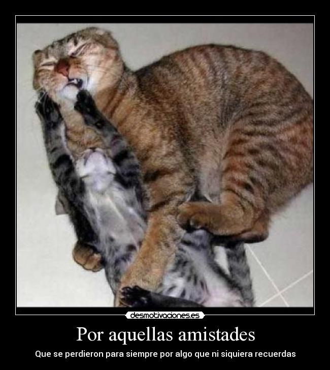 Por aquellas amistades - 