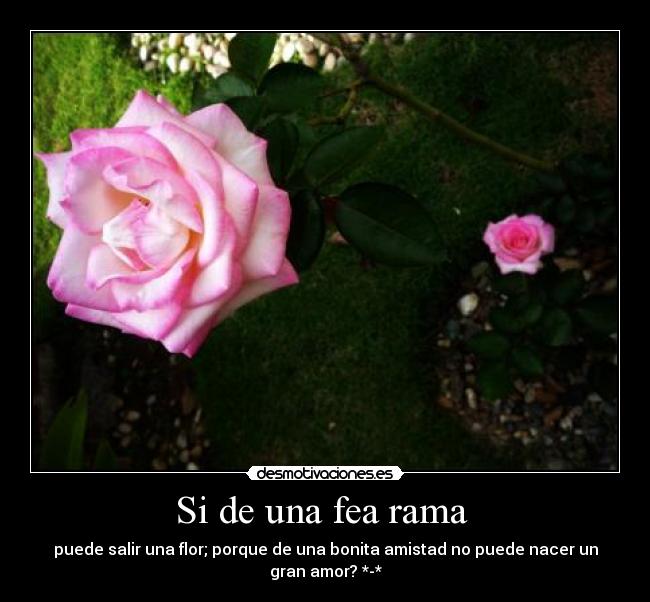 Si de una fea rama  - puede salir una flor; porque de una bonita amistad no puede nacer un gran amor? *-*