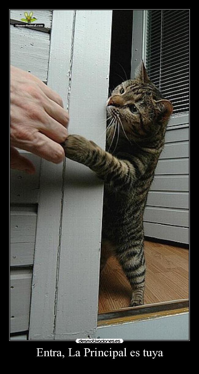 Entra, La Principal es tuya -