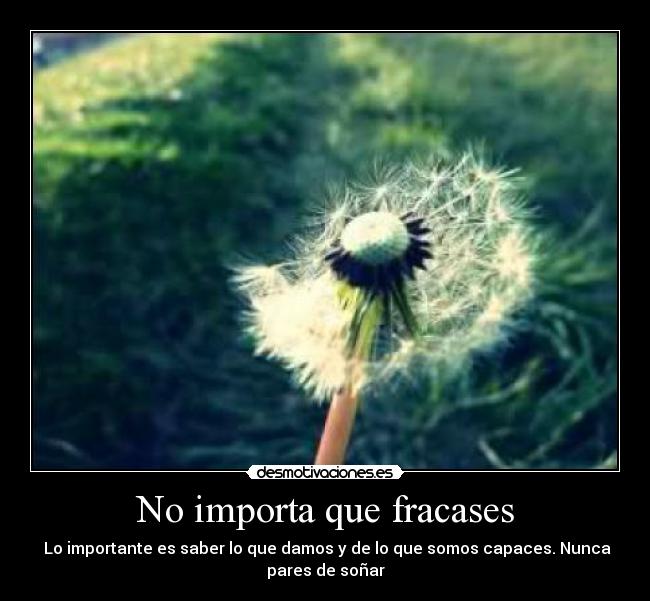 No importa que fracases - 