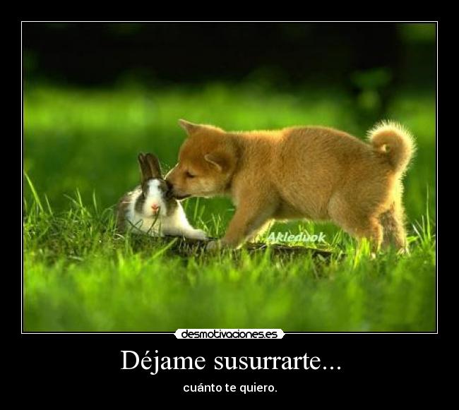Déjame susurrarte... - 