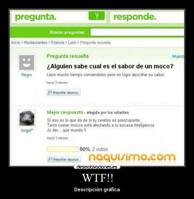 WTF!! - Descripción gráfica