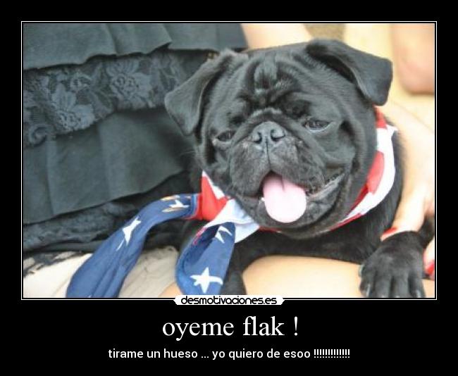 carteles oyeme flak desmotivaciones