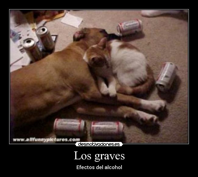 Los graves - 