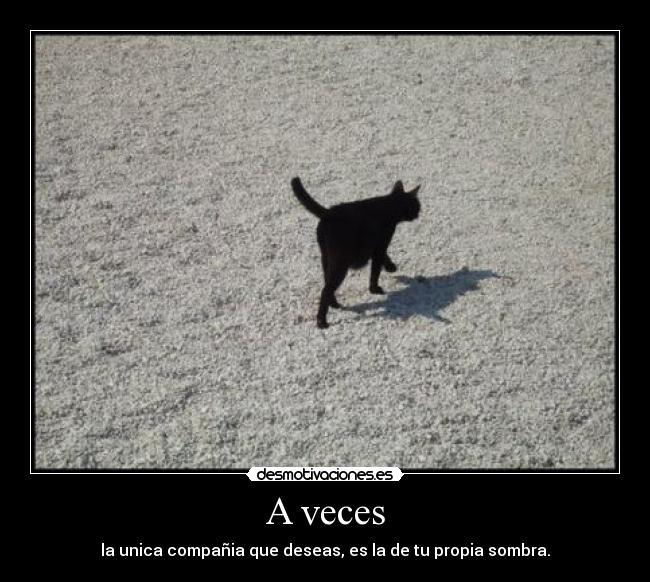 A veces - la unica compañia que deseas, es la de tu propia sombra.