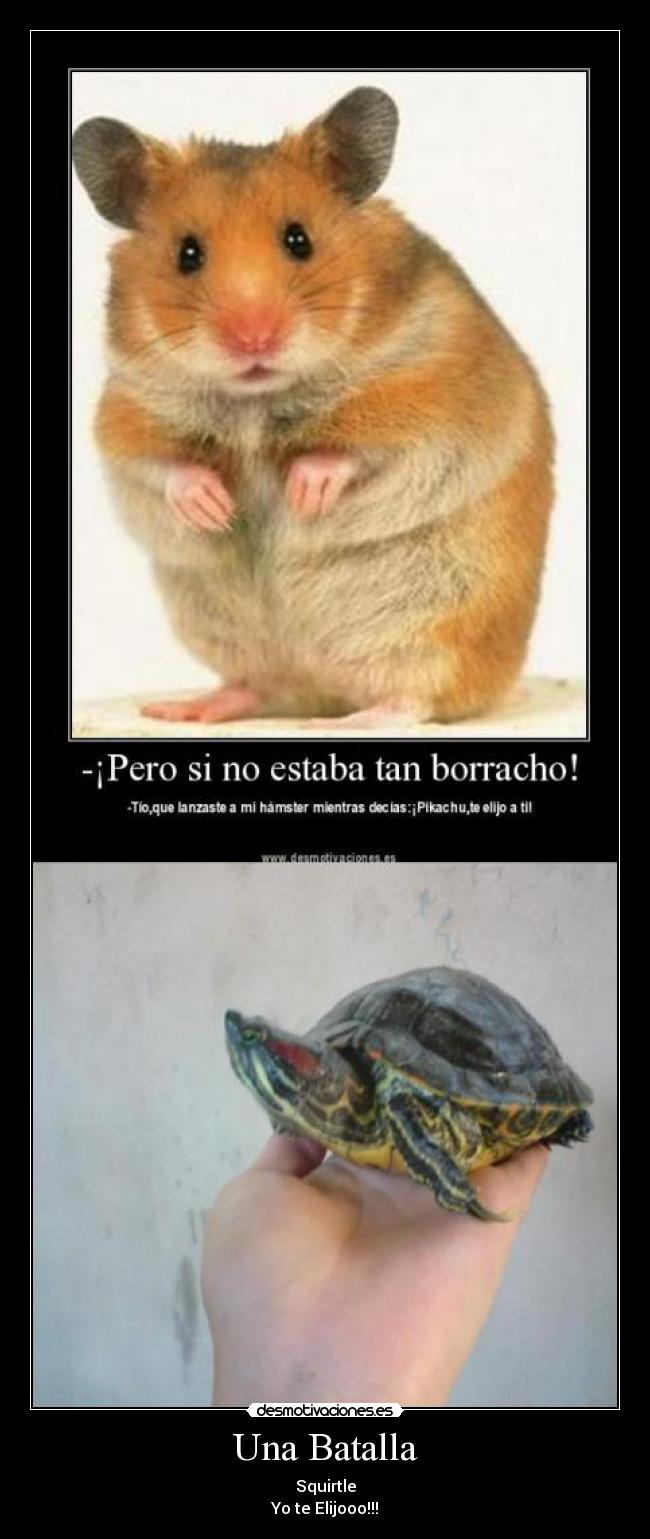 carteles squirtle desmotivaciones