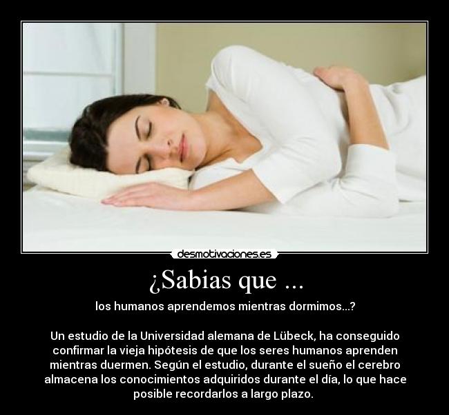 ¿Sabias que ... -