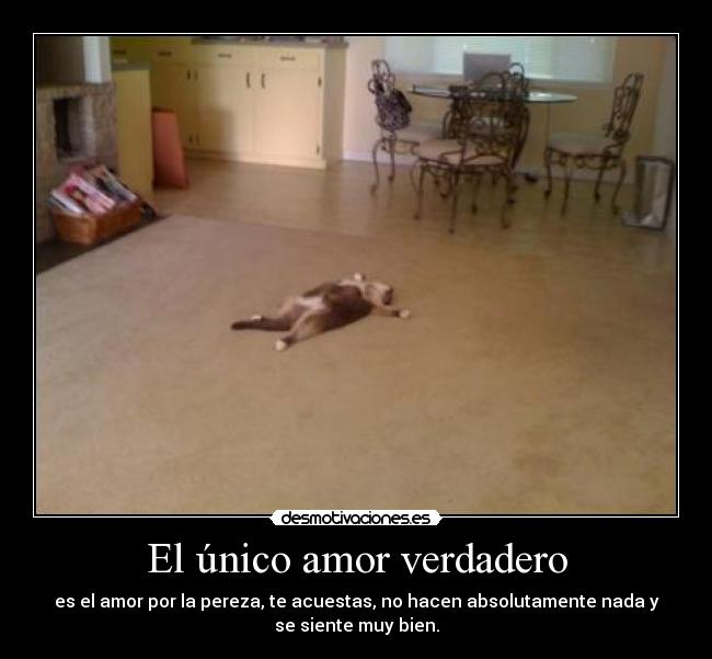 El único amor verdadero - 