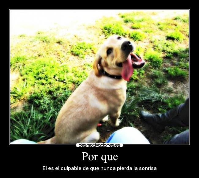 Por que - El es el culpable de que nunca pierda la sonrisa