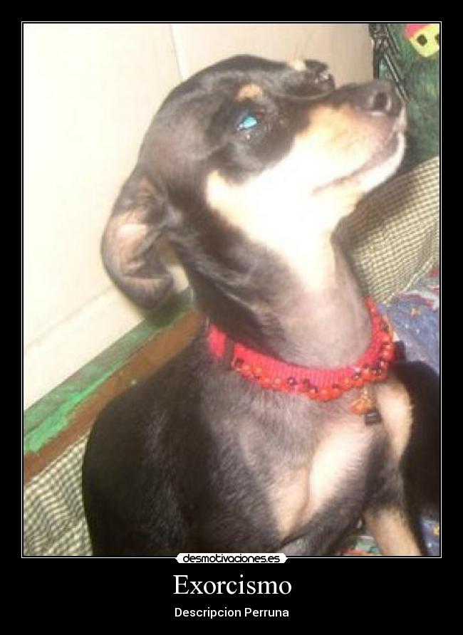 Exorcismo - Descripcion Perruna