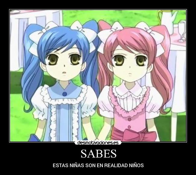 SABES - 