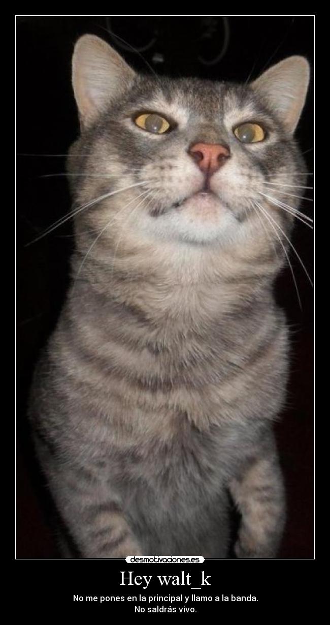 carteles walt_k desmotivaciones