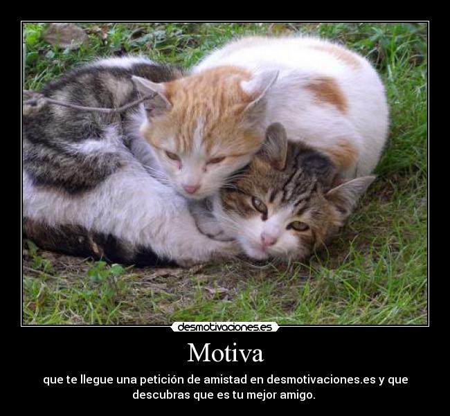 Motiva - que te llegue una petición de amistad en desmotivaciones.es y que
descubras que es tu mejor amigo. 