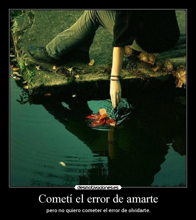 Cometí el error de amarte -