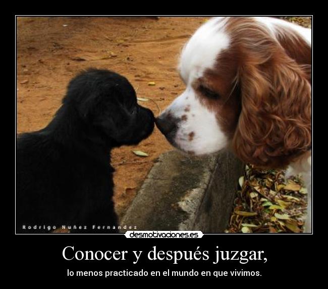 Conocer y después juzgar, - lo menos practicado en el mundo en que vivimos.