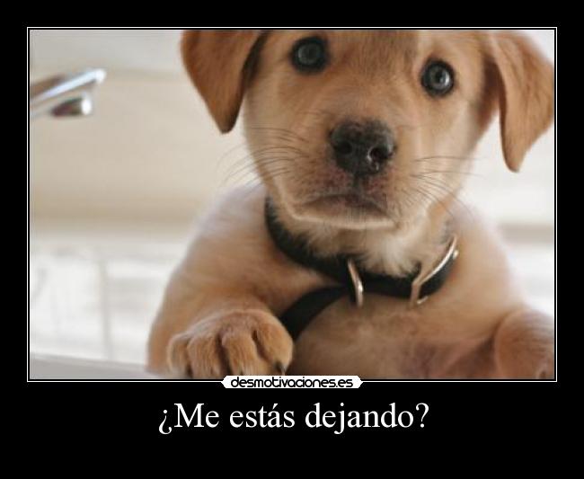 ¿Me estás dejando? -
