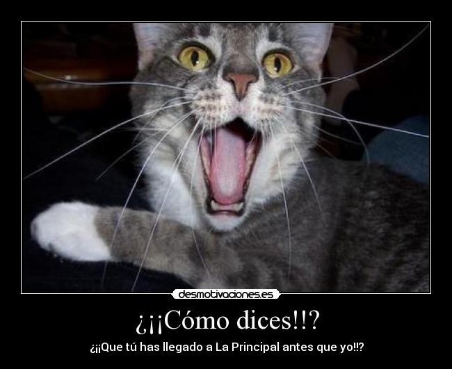 ¿¡¡Cómo dices!!? -