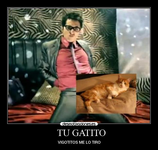 TU GATITO - VIGOTITOS ME LO TIRO