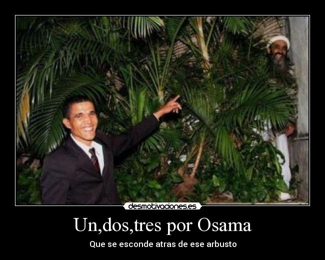 Un,dos,tres por Osama - 