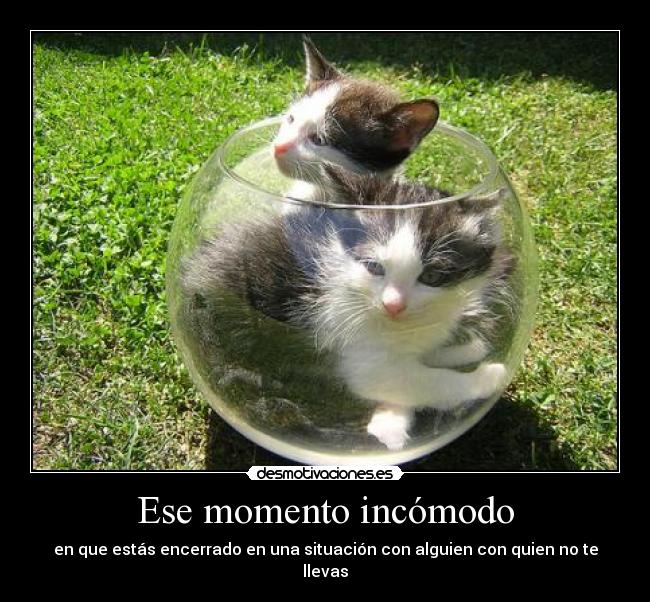 Ese momento incómodo -