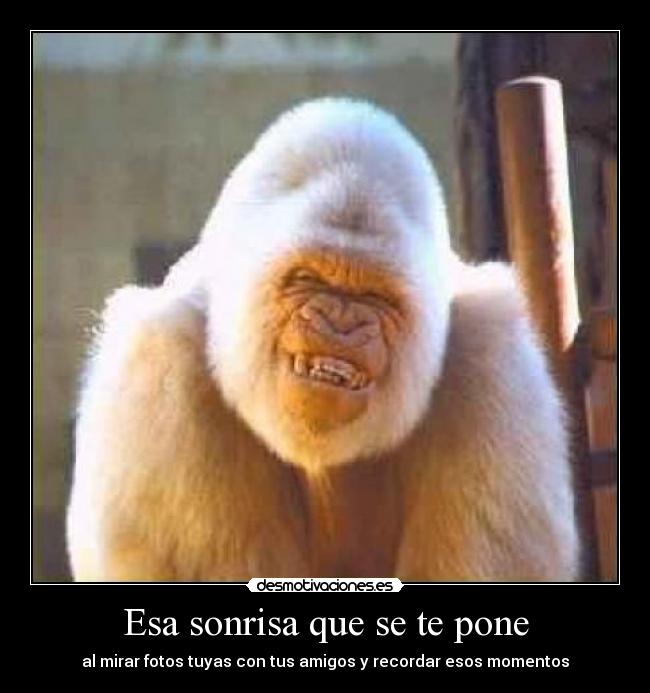 Esa sonrisa que se te pone -