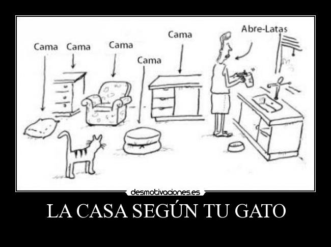LA CASA SEGÚN TU GATO -