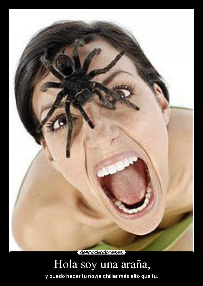 Hola soy una araña, - 