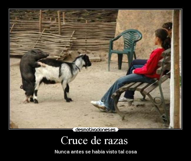 Cruce de razas - Nunca antes se había visto tal cosa