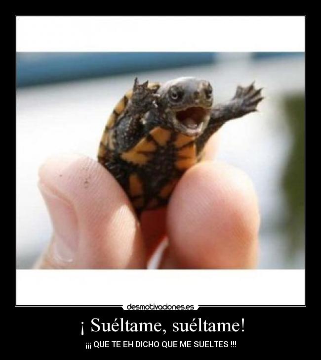 ¡ Suéltame, suéltame! -