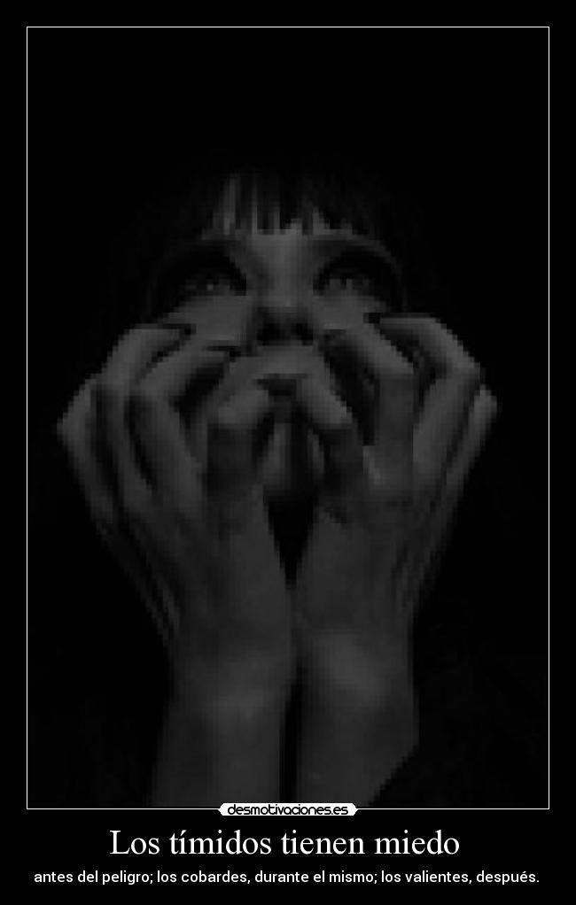 Los tímidos tienen miedo - antes del peligro; los cobardes, durante el mismo; los valientes, después.