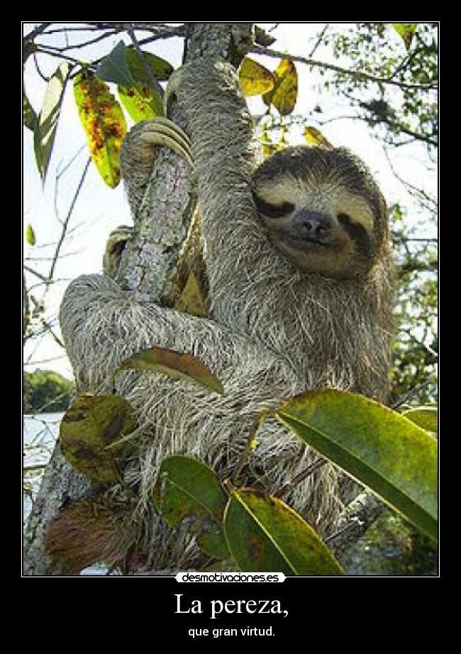 La pereza, -