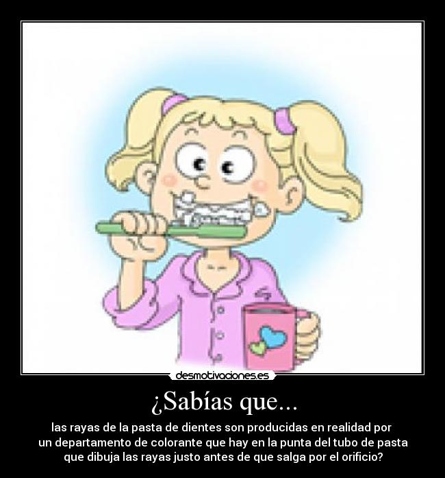 ¿Sabías que... - las rayas de la pasta de dientes son producidas en realidad por
un departamento de colorante que hay en la punta del tubo de pasta
que dibuja las rayas justo antes de que salga por el orificio?