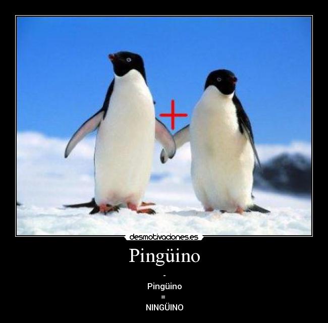 Pingüino - -
Pingüino
= 
NINGÜINO