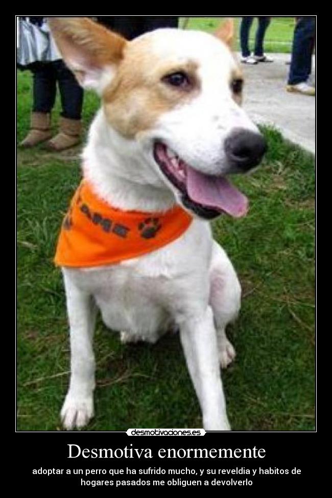 Desmotiva enormemente - 