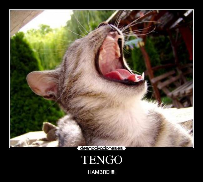 TENGO - HAMBRE!!!!!