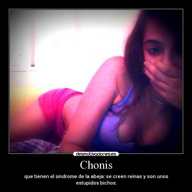 Chonis - 