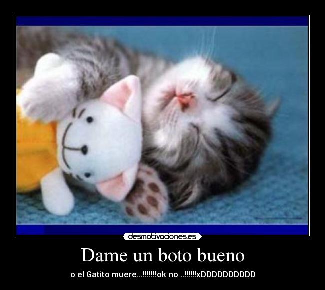 Dame un boto bueno - o el Gatito muere...!!!!!!!ok no ..!!!!!!xDDDDDDDDDD