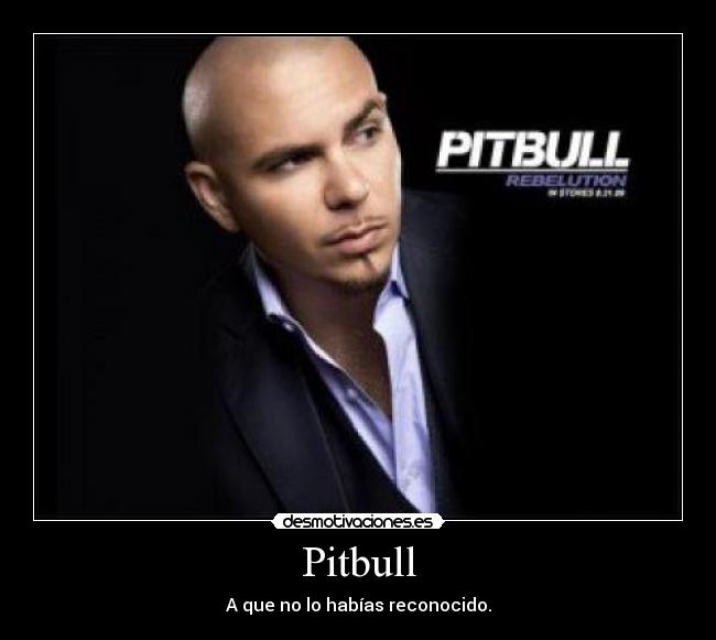 Pitbull - A que no lo habías reconocido.