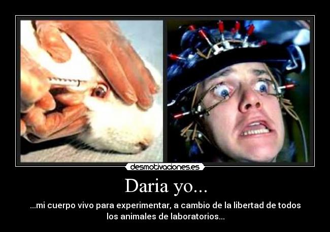 Daria yo... - ...mi cuerpo vivo para experimentar, a cambio de la libertad de todos
los animales de laboratorios...