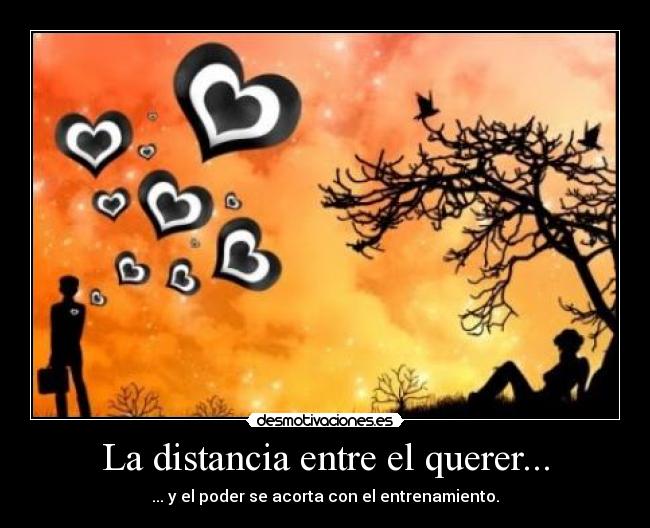 La distancia entre el querer... - 