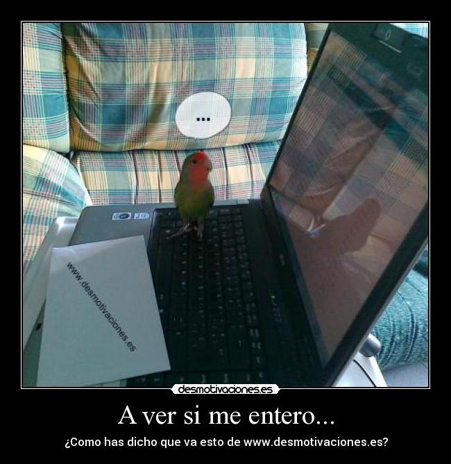 A ver si me entero... -
