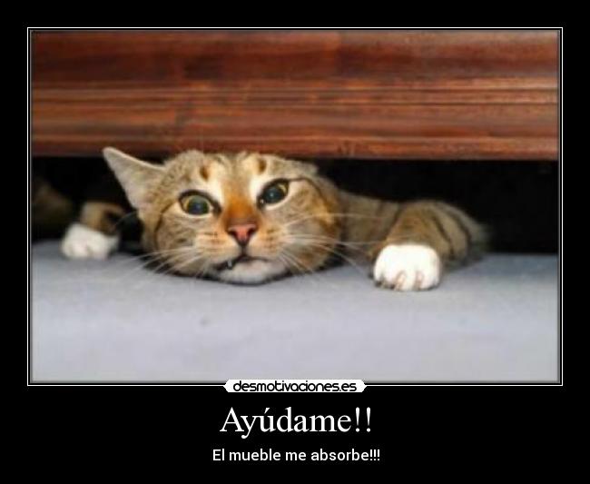 Ayúdame!! - 