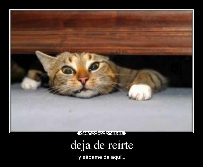 deja de reirte -