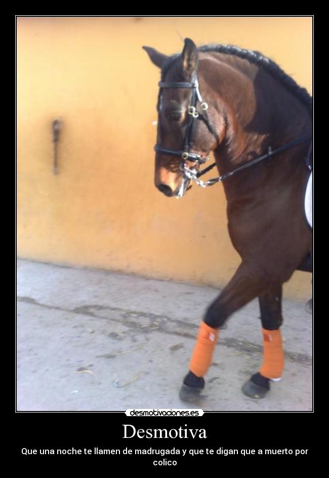 Desmotiva - Que una noche te llamen de madrugada y que te digan que a muerto por colico