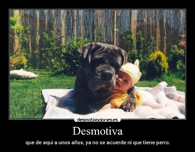 carteles perros desmotivaciones