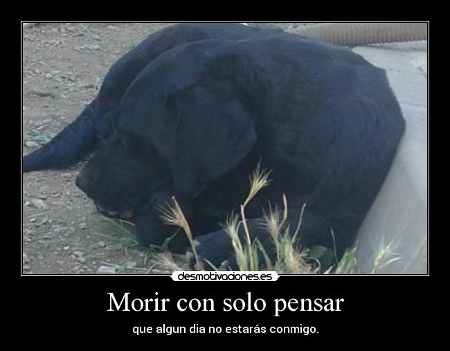 Morir con solo pensar - que algun dia no estarás conmigo.