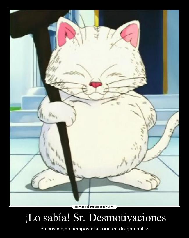 ¡Lo sabía! Sr. Desmotivaciones - en sus viejos tiempos era karin en dragon ball z.